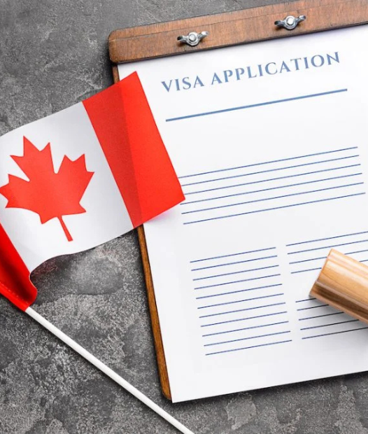 Visitor Visa Application